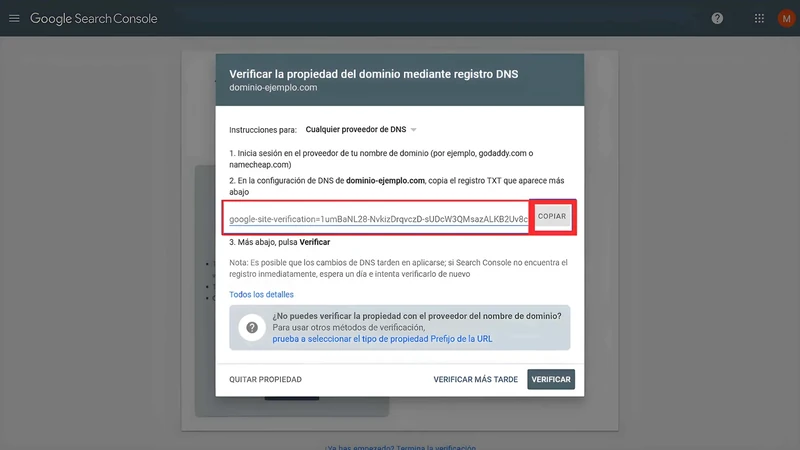 Codi de verificació per registre TXT de DNS amb el botó Copia